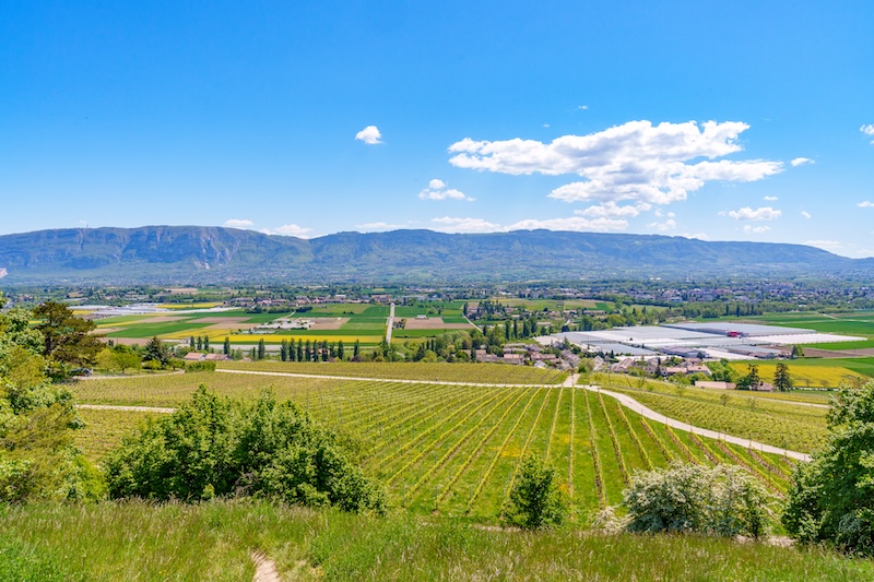 Swiss Landscape Capvest Real Estate Project
